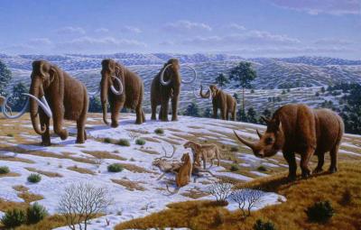 Reindeer and Mammoth