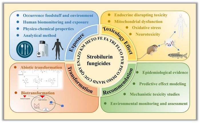 A brief review of strobilurin fungicides: environmental exposure, transformation, and toxicity