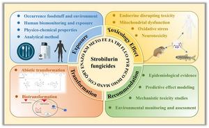 A brief review of strobilurin fungicides: environmental exposure, transformation, and toxicity