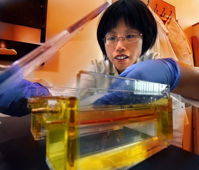 Weiqin Chen, Medical College of Georgia at Augusta University