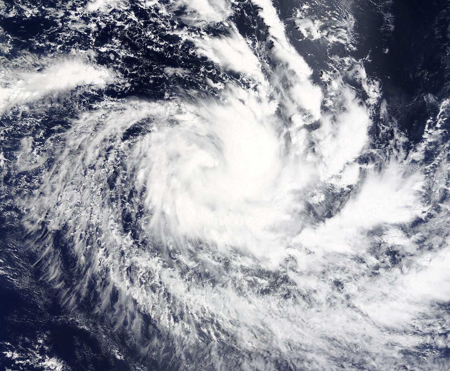 Terra Image of Annabelle