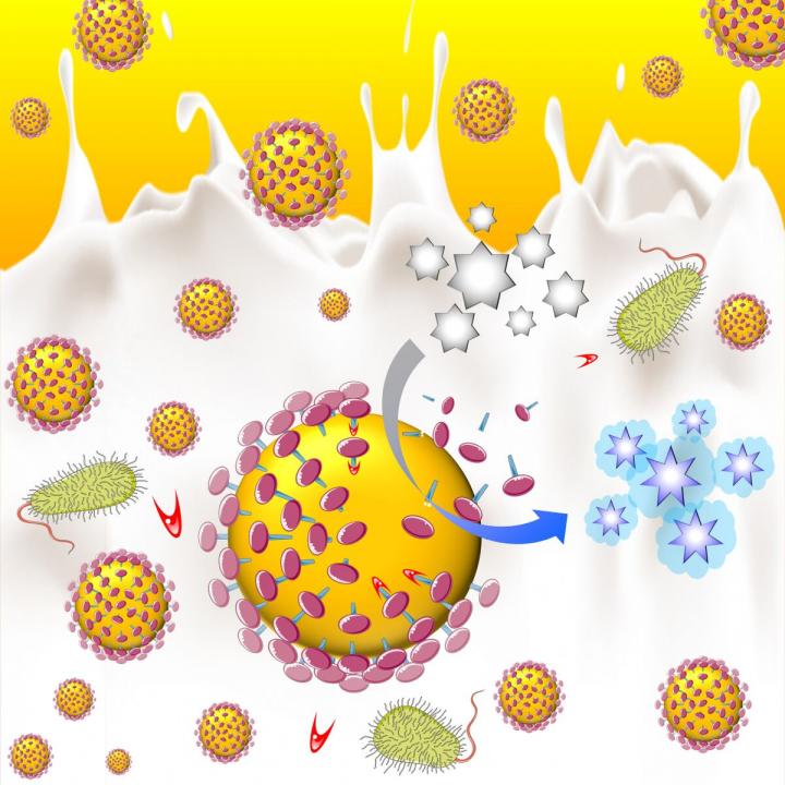 Casein Covered Gold Nanoparticles