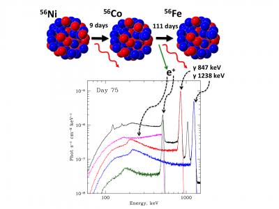 A Radioactive Decay Chain and the Spectrum Obtained by the INTEGRAL Observatory