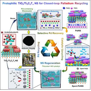 [Figure 1] Palladium Recovery-Upcycling-Recycling Closed-Loop System