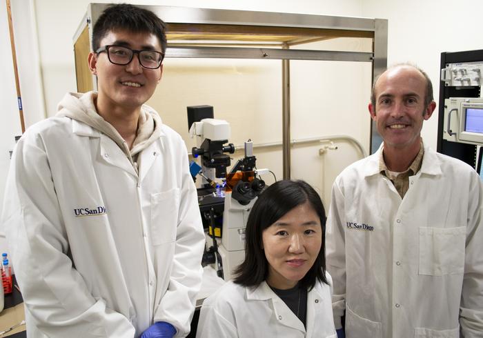 Hibbs Lab