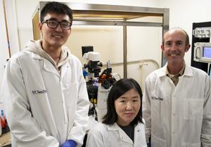 Hibbs Lab