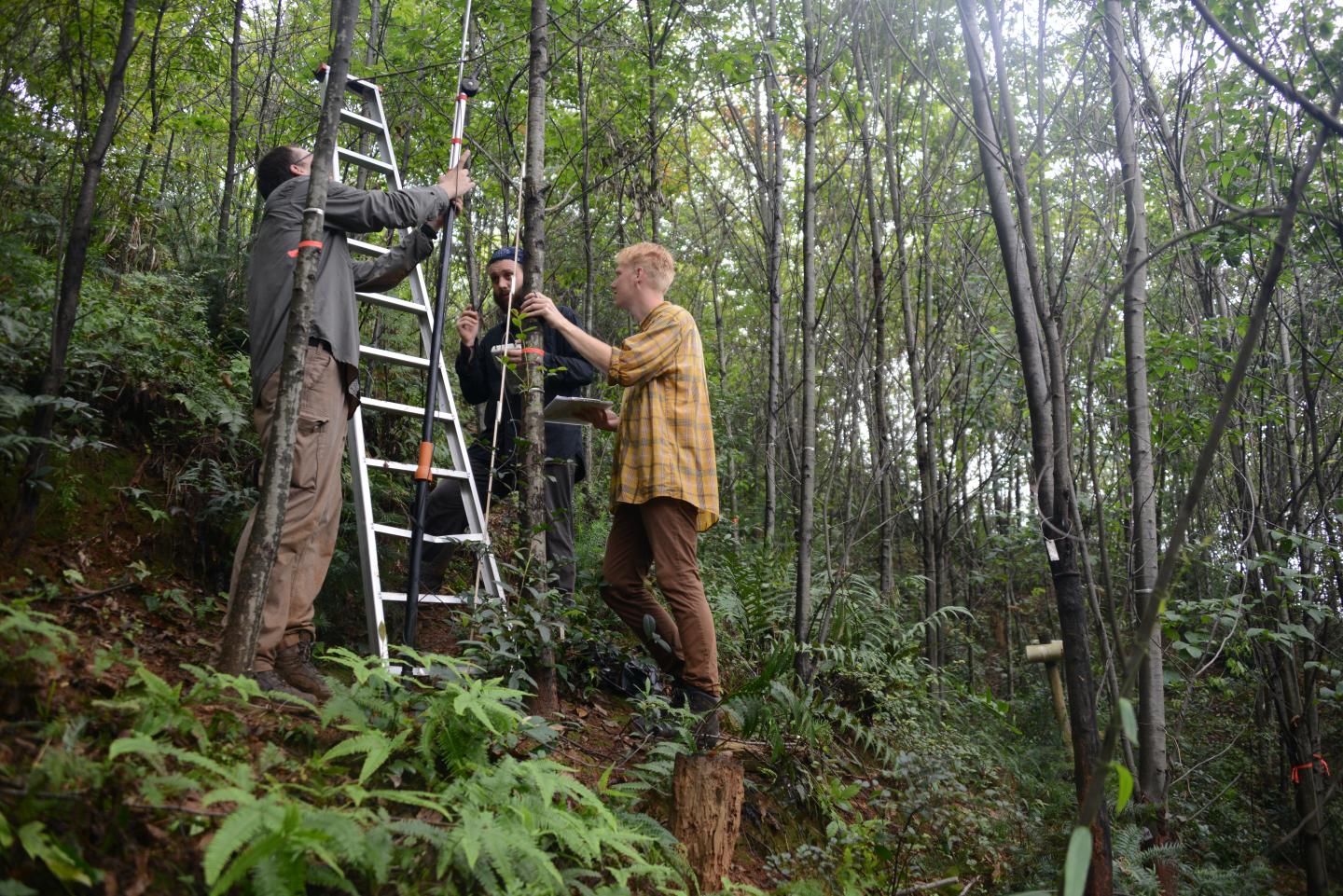 Collecting Samples in China