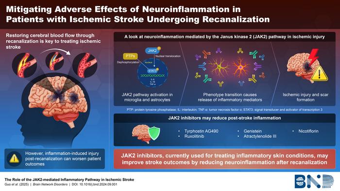 Ischemic Stroke Leaves Lasting Neurological Damage