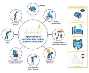Closed-Loop Brain-Body Interface: Brain and Body Team Up to Personalize Mental Health Treatment