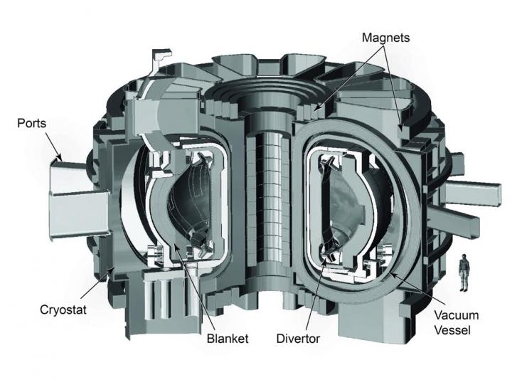 Drawing of a Tokamak Fusion Pilot-Plant Design
