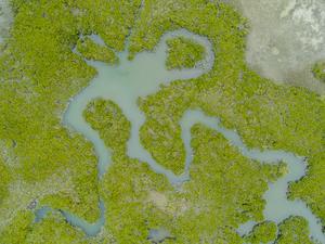 Aerial view of mangroves in  Punta Abreojos in the Mexican Pacific