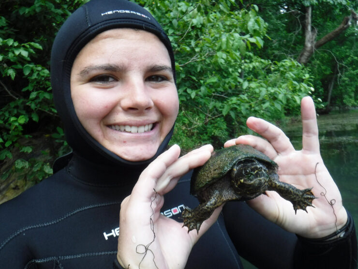 Tagging Turtles