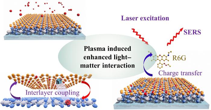 Plasma-induced enhancement of light-matter interaction on graphene-MoS2 heterostructure for sensitive and metal-free SERS sensing