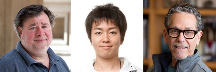 Author image