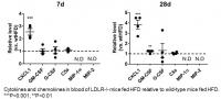 Cytokines and chemokines in blood of LDLR -/- mice after High Fat Diet