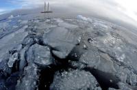 The Tara Boat Sailing through Ice