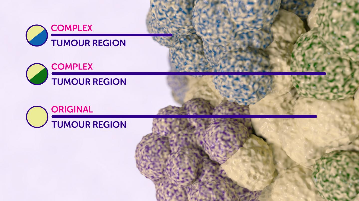 Tumor Antigens Help Explain Varied Reactions to Immunotherapy (2 of 5)