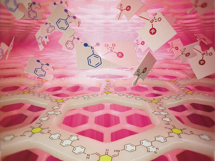 Red light and recyclable catalysts drive sustainable photocatalysis