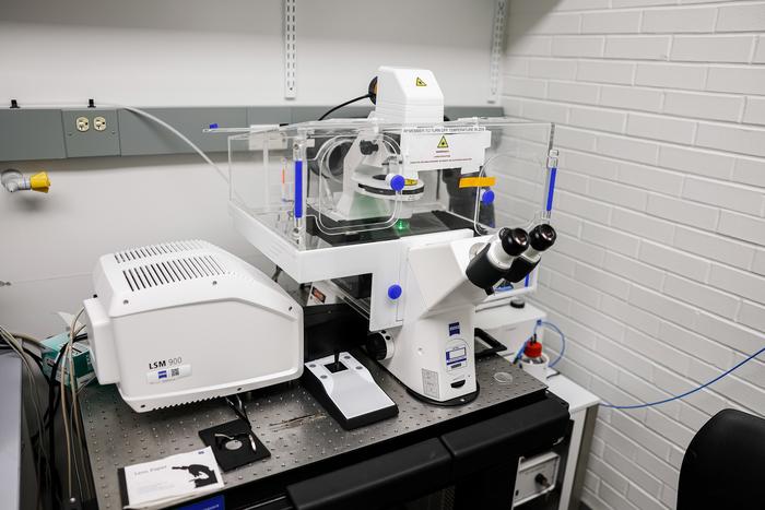 MICROSCOPE