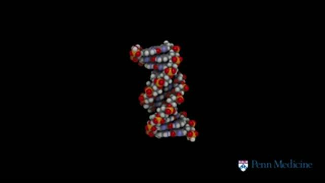 ALT Telomeres Fish for Homology