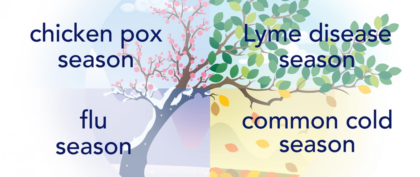 Seasonality of Infectious Diseases