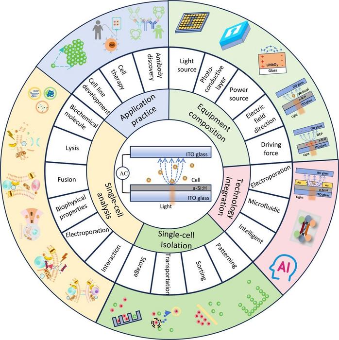 Optoelectronic tweezer technology and its application to single-cell research.