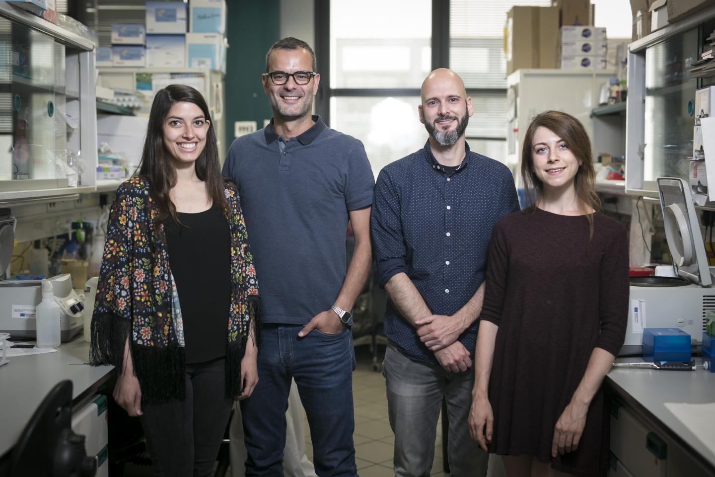 Researchers