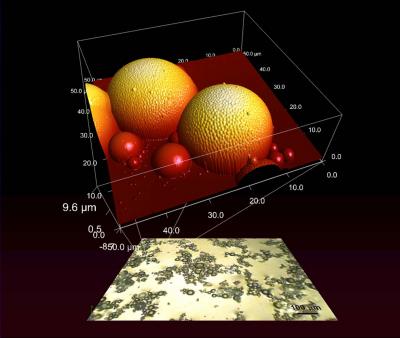 Fossilized Liquid Assembly: Nanomaterials Research Tool