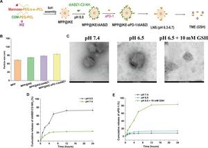 Preparation and characterization of MPP@IKE-aPD-1/diABZI.
