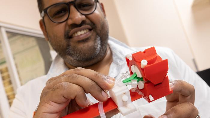 Paving the way for human eye transplants