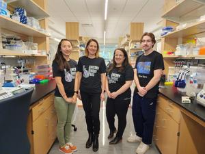 Unique model of rare epileptic disease helps pinpoint potential treatment route