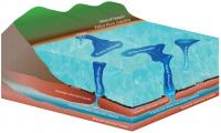 Conceptual illustration showing freshwater plumes at sea.jpg