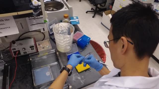 Genomic Sequencing Finds Common Link in Congenital Heart and Brain Disorders