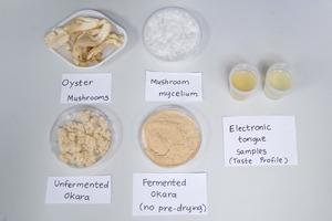 NTU Singapore scientists demonstrate mushroom fermentation method to enhance protein content and flavour of soybean by-product