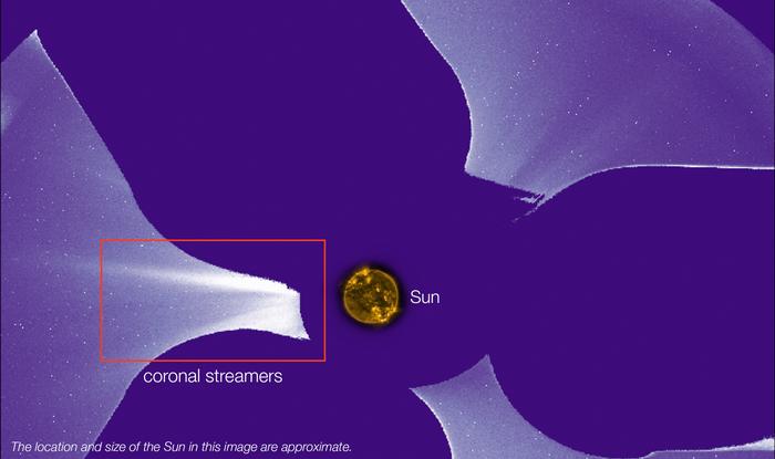 CODEX coronal streamers