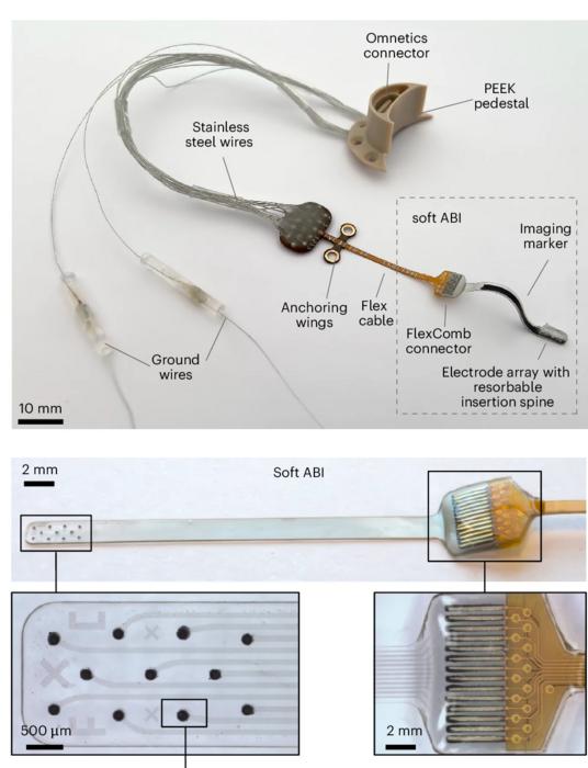 Soft, flexible auditory brainstem implant