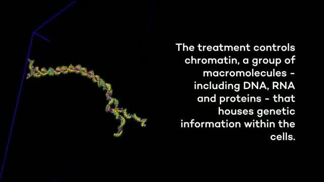 Fighting Cancer's Resistance to Treatment