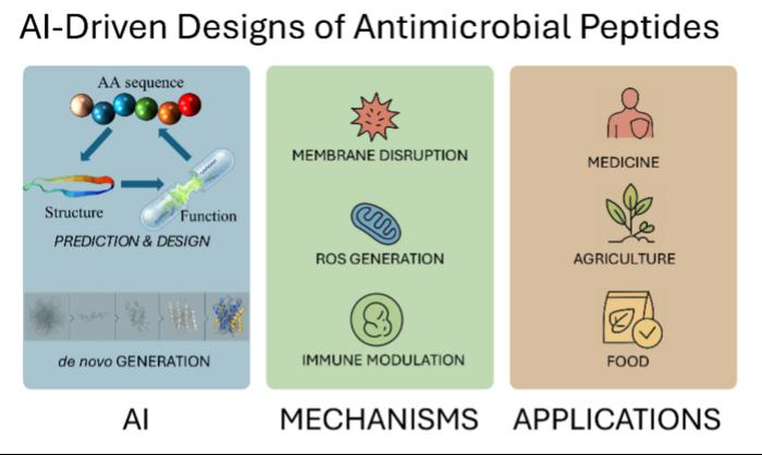 AI-Driven designs of antimicrobial peptides