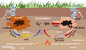 Size-dependent fractions released from biochar govern the mechanism of spatiotemporal ROS evolution in charosphere: influence on nitrous oxide emissions