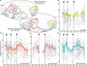 Body size evolution of Cambrian-Ordovician trilobites in Laurentia (B), East Gondwana (C), West Gondwana (D), Baltica and Avalonia (E)
