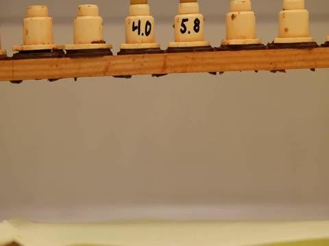 Ability of Royal Jelly to Hold a Larva in a Queen Cell