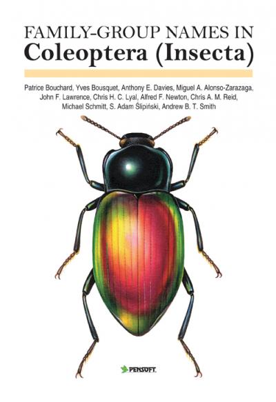 <I>Apterotheca besti</I> (Blackburn, 1894)