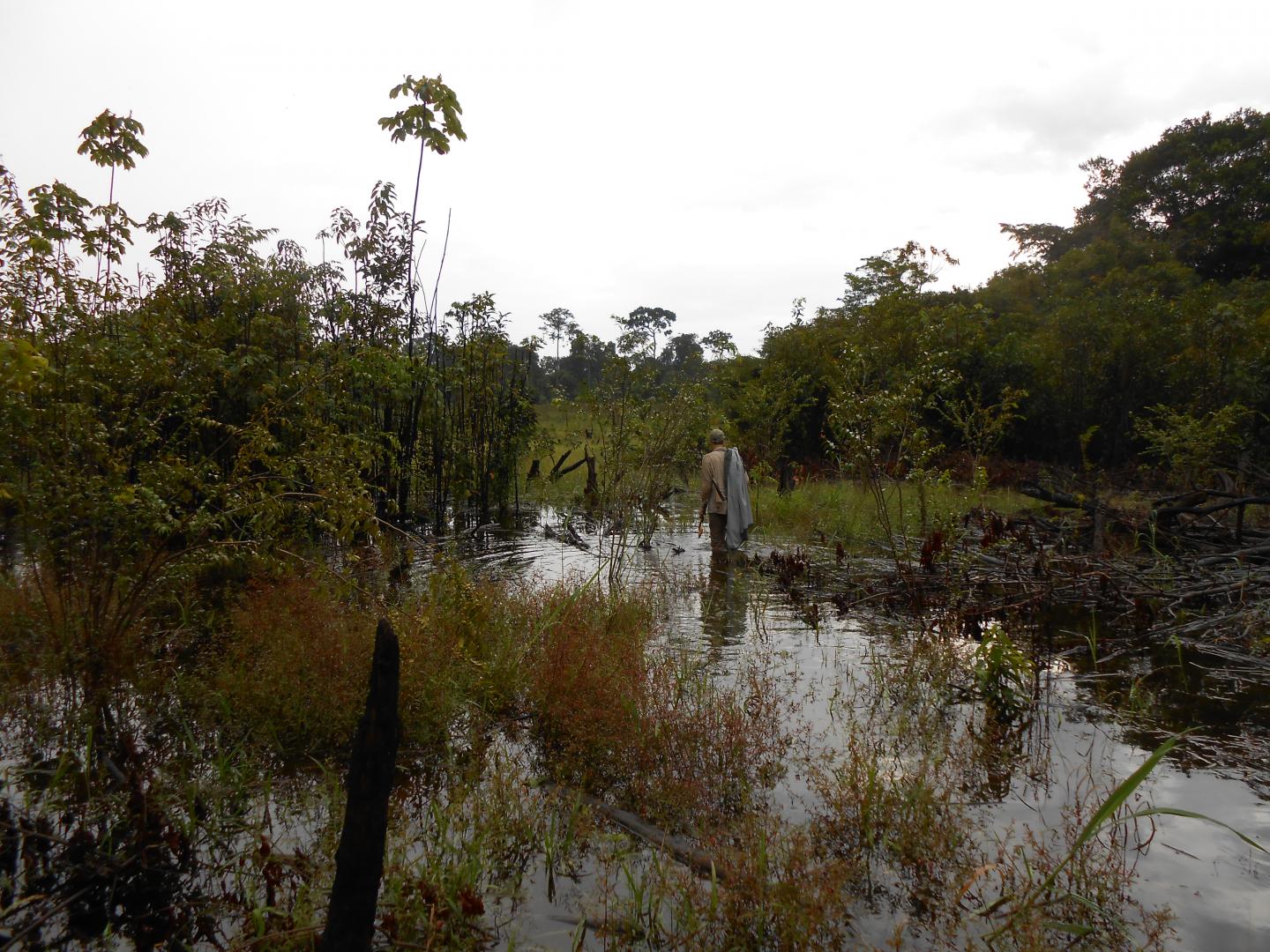 Floodplain