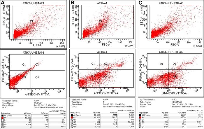 Result of viability test for unstained apoptotic cells (A); unextracted sample of apoptotic cells (B); extracted samples of apoptotic cells (C).