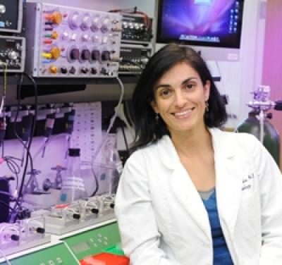 Dr. Stella Goulopoulou, Georgia Health Sciences University 