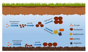 Review on formation of iron (oxyhydr)oxide nanoparticles in the environment: interactions with metals, organics and microbes