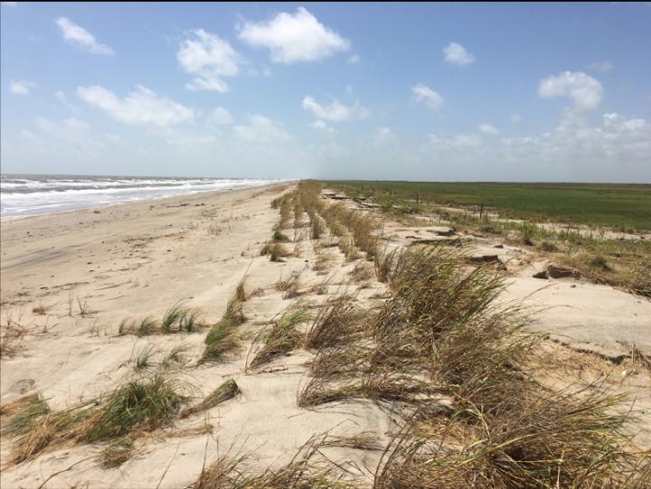 McFaddin Beach after Hurricane Laura