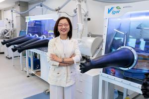 Prof Shirley Meng