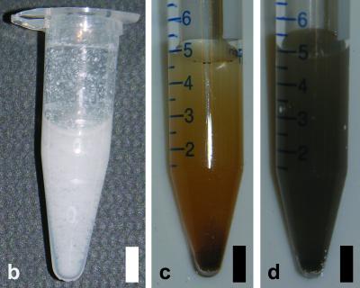 Complex Samples Analyzed by NIST GEMBE System