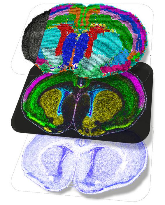 Spatial Multiomics Maps